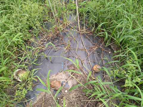 【1口500円版】令和5年7月大雨による浸水害　被災生産者応援チケット （※商品の発送はありません）