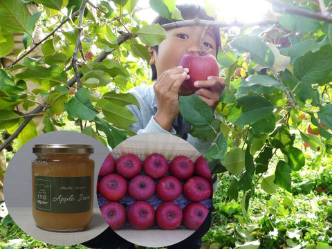 【福袋】サンふじ約2キロ＆無添加・低糖りんごジャム2本【配達日指定可】JA基準より60％減の低農薬栽培