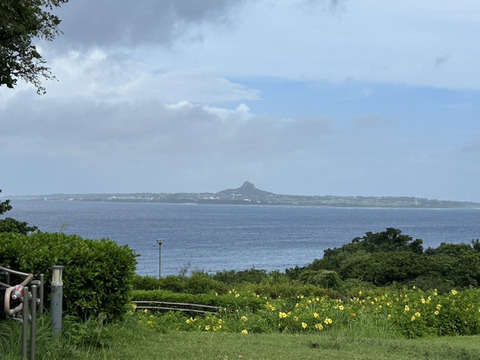 【お試し300g】沖縄 伊江島特産　島らっきょう