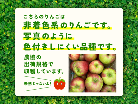 🍎幻の夏りんご🍎夏あかり 3キロ箱 小玉品種〜18玉 商品ID40928 長野県 信州 安曇野 リンゴ 幻 幻のリンゴ 予約 希少 旬