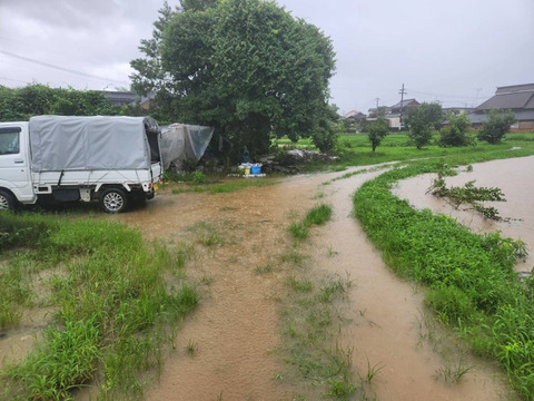 【1口500円版】令和5年7月大雨による浸水害　被災生産者応援チケット （※商品の発送はありません）