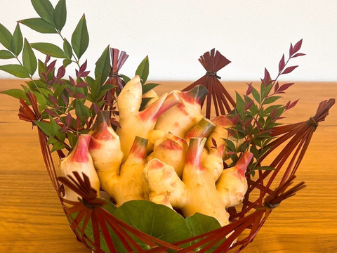 【残りわずか】業務用/生の新生姜10㎏【淡路島が育んだ体と心のスパイス！】淡路島産/愛情込めた自社農園の新生姜 10kg