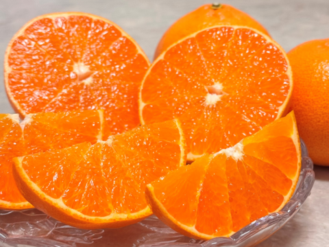 【注いだら最後、止まらない】福みかんジュース+せとかジュース｜愛媛・西宇和産