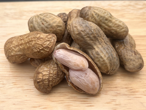 旬の味覚！遠州砂地育ちジャンボ生落花生『おおまさり』1㎏