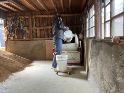 予約開始！！　令和7年新米　庄内米つや姫玄米１０キロ　もちもち食感冷えても美味しい！