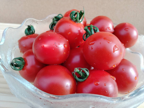 甘味と酸味が絶品！ほれまる１kg