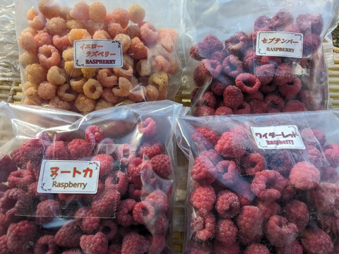 4品種食べ比べ！北海道十勝産のラズベリー食べ比べセット（250g×4品種）