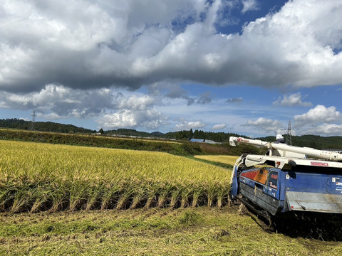 【青森・外ヶ浜ファーム直産】 はれわたり 10kg《大大大好評！！》地産地消・低農薬米