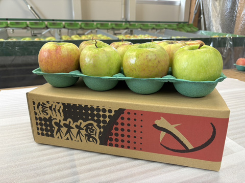 甘くない贅沢！これぞグラニースミス３㎏（７～１２玉）