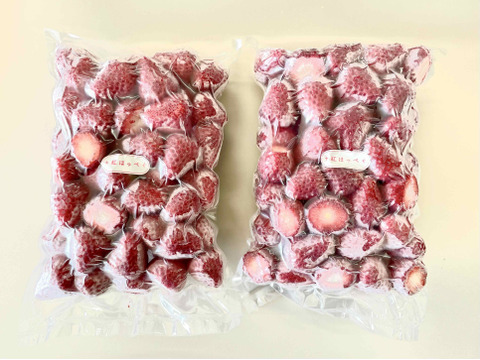 冷凍いちご（紅ほっぺ）1.6kg（800g×2袋）