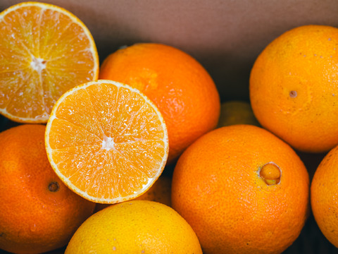 プルップルのゼリー食感【EHIME UWAJIMA〈コル’マドンナ〉】 -Aセレクション（家庭用）-約2.4kg×2箱（合計4.8kg）