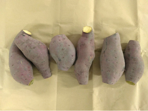 1.5kg⭐️訳あり⭐️熟成ベニアズマ⭐️《超特価！》