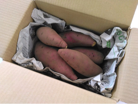 1.5kg⭐️完熟⭐️紅はるか⭐️幸せな甘み⭐️《今が買い時！》ちょっと訳あり