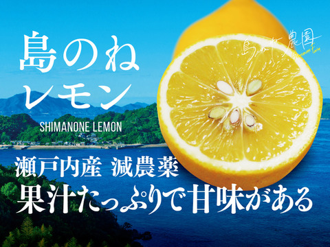 島のねレモン【瀬戸内産/国産/サイズ混合/3kg】
