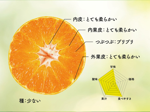 100 ％品質保証 そら甘平【天空の甘平】愛媛産みかん 3kg：愛媛県産のみかん 果物