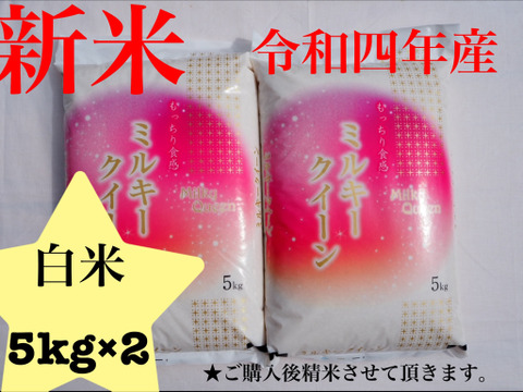 ミルキークィーン　白米　10kg 令和四年産