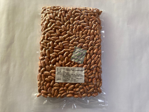 【殻むき薄皮付き】乾燥生落花生850g【ジャンボピーナッツ・極大粒】【農薬・化学肥料不使用】【天日乾燥】【令和７年・岐阜県産】
【クリックポスト配送】