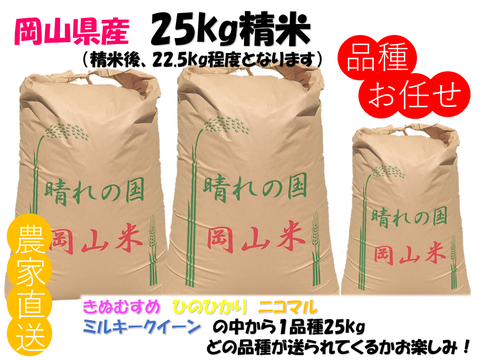 品種お任せ「ミルキークイーンorにこまるorヒノヒカリorきぬむすめ」岡山県産 精米 25kg（精米後22.5kg程度でのお届けとなります）
