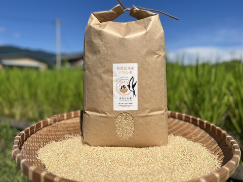 愛知県産 ハツシモ 玄米 10kg令和7年度（精米可） 農薬・肥料不使用】金賞受賞！自然栽培米ハツシモ【10kg】【分つき精米