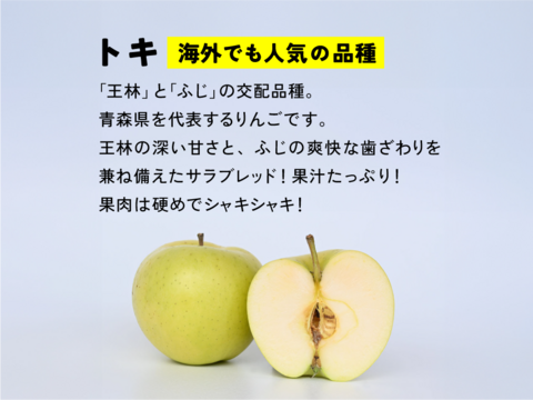 残り20ケース！【フルティーサマーアップル】トキ 5キロ箱 訳あり品 商品ID21060長野県 信州 安曇野 リンゴ 幻 幻のリンゴ 予約 希少 旬
