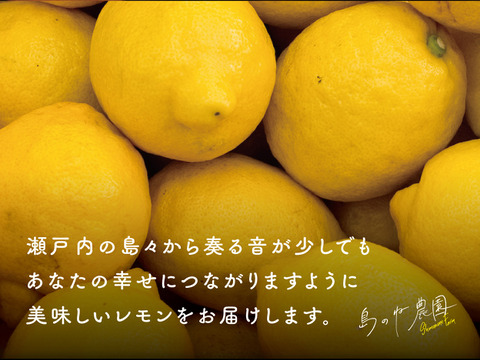 島のねレモン【瀬戸内産/国産/サイズ混合/5kg】
