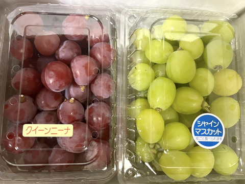 シャインとクイーンニーナの切り落とし