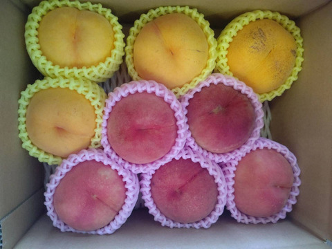 【数量限定】桃ファン必見！お得な桃訳あり品🍑4kg詰め合わせ！(2kg×2)