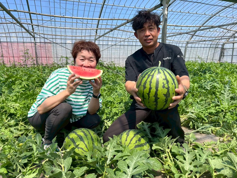 シャリ感抜群！スイカの王道【祭りばやし】（1玉：約4人分）