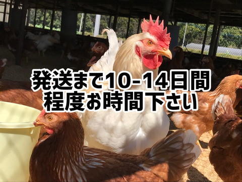 【食べ比べセット】枯草菌の赤たまご+酵母の平飼いのたまご+醤油
