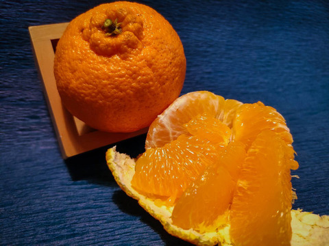 【同梱商品/5kg箱】大人気「デコ(不知火)」＆瀬戸田産レモンA品1kg【ご家庭用】