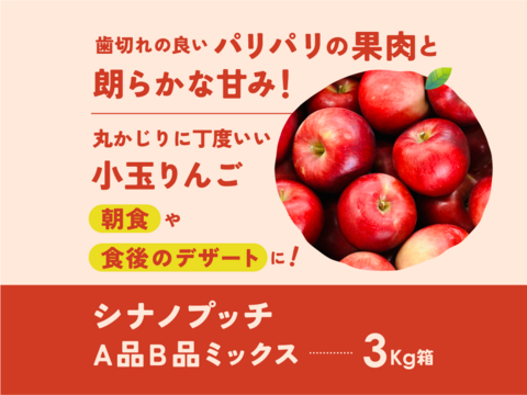 【幻の小玉第1弾】シナノプッチ3キロ箱 新しい定番 〜21 商品ID41124 長野県 信州 安曇野 リンゴ 幻 幻のリンゴ 予約 希少 旬
