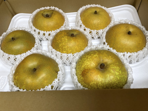 幸水梨６～７玉【訳あり品！ご家庭用】甘くてさっぱり♪「味は変わらないお得なキズあり品、ご家庭用」発送は７月下旬～８月上旬