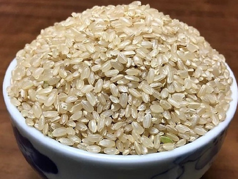 【３月セール】自然栽培「豊コシヒカリ」玄米　５ｋｇ