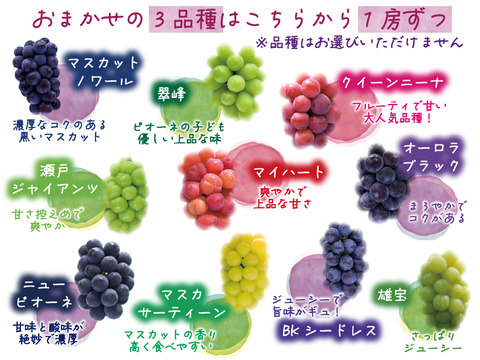 花笑み農園　岡山のぶどう4種MIX『シャイン＋厳選３種』約2kg（4房）家庭用【9/16～順次発送】4M-2家
