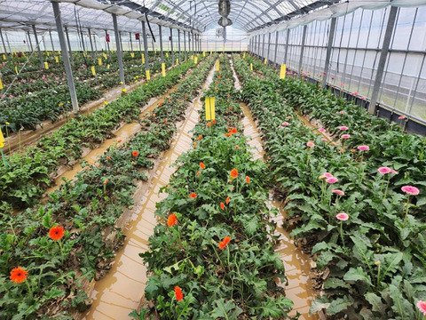 【1口5000円版】令和5年7月大雨による浸水害　被災生産者応援チケット （※商品の発送はありません）