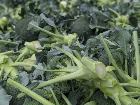 ❄☃️７品冬の野菜セット☃️❄