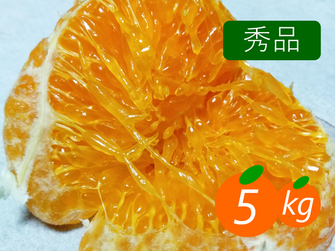 【秀品】甘平 5kg ギッシリ果肉のシャキシャキ食感♡愛媛限定高級柑橘♫愛媛みかん！！