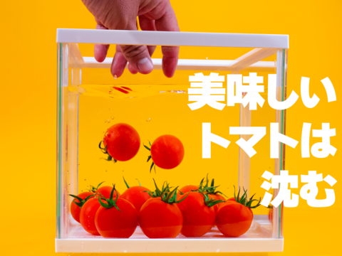 【甘さぎゅっ♪】極上濃厚フルーツトマト「ポモロッサ」お試し用（2パック＋おまけ付）