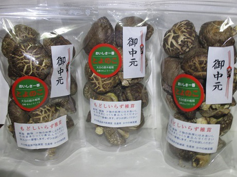 【夏ギフト】乾しいたけ肉厚どんこ(戻しいらず 100g入り3袋 原木自然栽培 大分産とよのこ)