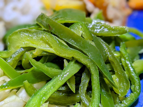 【未来をつくる笑み野菜】宮崎県産🫑生でも美味しいピーマン・化学農薬・化学肥料不使用 2kg