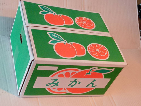 農薬・化学肥料不使用】神奈川産 大津みかん 10kg (訳あり)：神奈川県