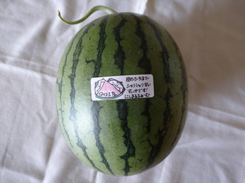 皮のふちまでシャリシャリ甘い！にしまるスイカ(小玉西瓜)　１玉入り(約２kg以上)