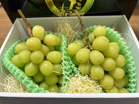 お歳暮・冬ギフト特集 - おとなの週末お取り寄せ倶楽部 まるせい果樹園のぶどう シャインマスカット 1.2k 化粧箱 果物