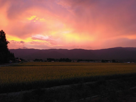 【令和６年新米】・はえぬき(20kg)