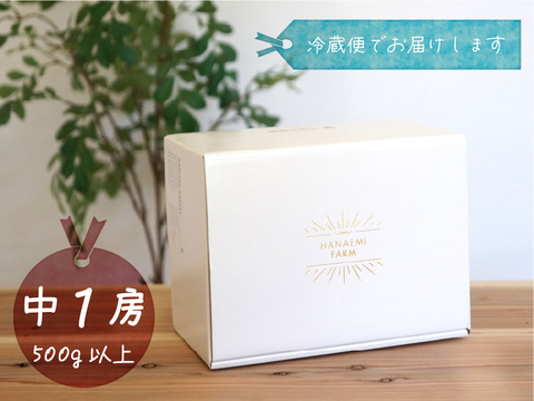 花笑み農園　岡山のBKシードレス500g以上（中１房）【9/14～順次発送】B-中1