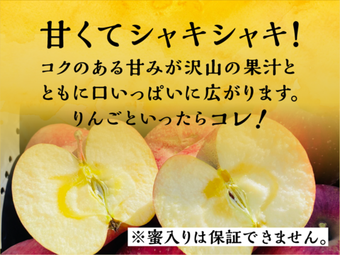 販売停止サンふじ 5キロ箱 家庭用 12玉〜25玉サイズ 小傷あり 長野県 信州 安曇野 リンゴ 幻 幻のリンゴ 予約 希少 旬 甘い商品ID57656