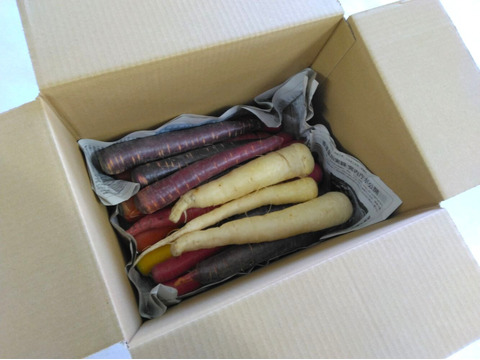 1kg🥕元気な彩り！食卓が盛り上がる！カラフルにんじん《農薬・化学肥料不使用》