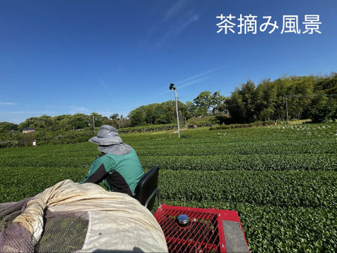 新茶　鶴の八十八夜　R7年度産【レターパックライト】
