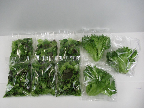 【中容量】日常使いに！洗わずに食べられるレタス9点セット（780ｇ）