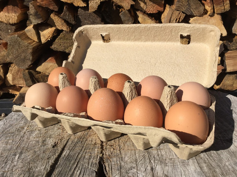 春はたまごの旬の季節！プリプリのはらっぱたまご10個入×３